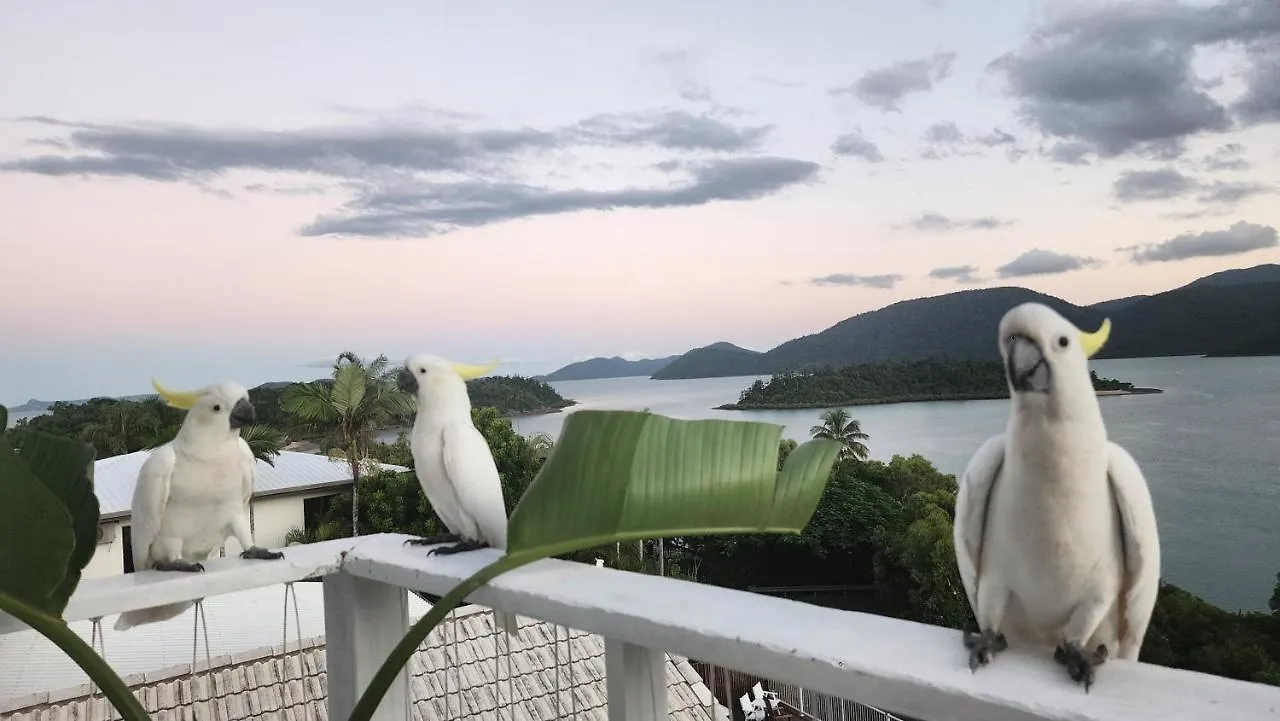 The Haven View - Airlie Beach 0*,