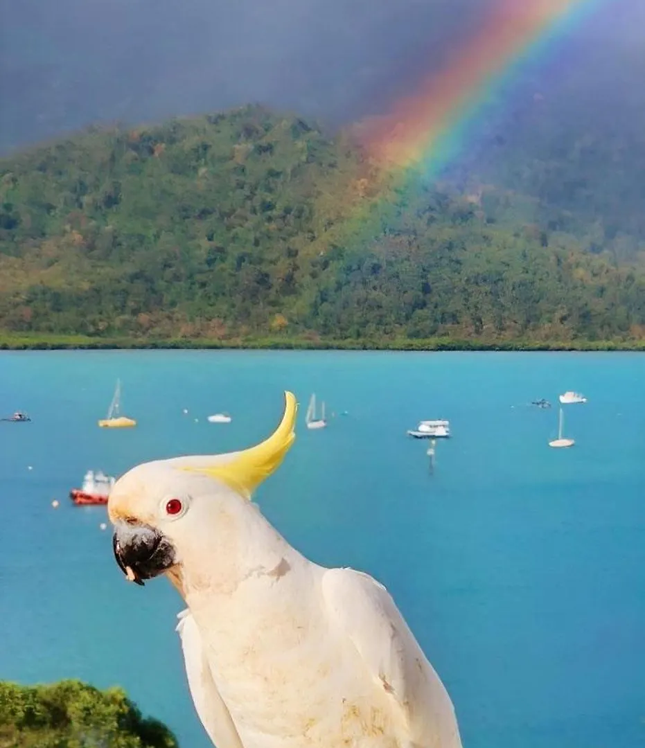 Penzion The Haven View - Airlie Beach Austrálie