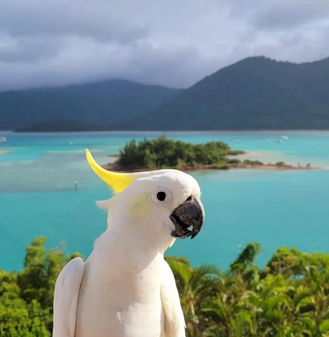 The Haven View - Airlie Beach Guest house