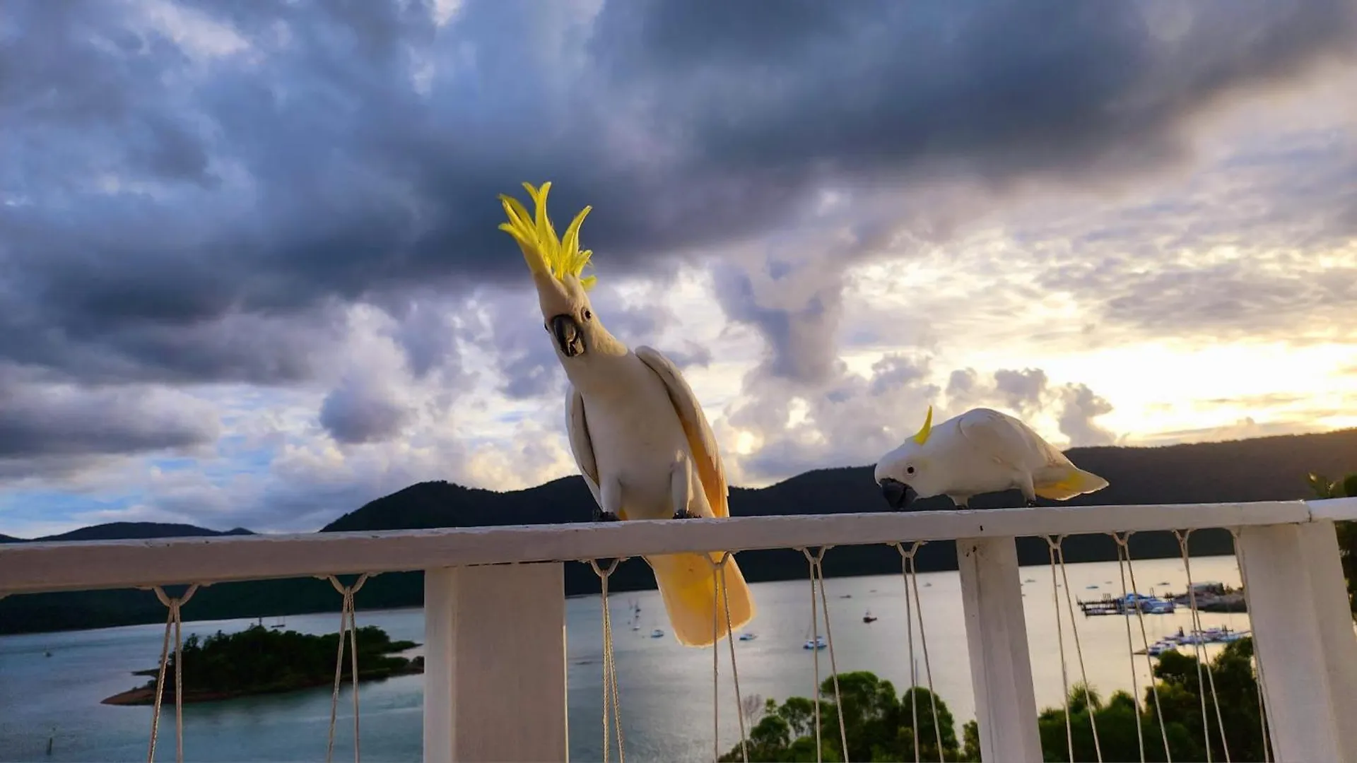 The Haven View - Airlie Beach